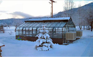 Durango, CO - American Classic 17' x 20' Green -1