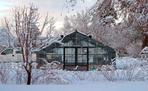 Durango, CO - American Classic 17' x 20' Green -2