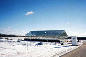 Ann Arbor, MI - American Classic 30' x 60' Beige -2
