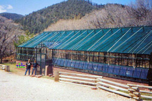 Las Vegas, NV - American Classic 25' x 60' Green -1