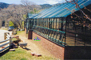 Las Vegas, NV - American Classic 25' x 60' Green -2