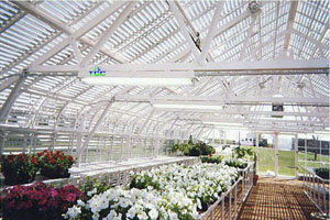 Dallas, TX - American Classic 25' x 54' White -2